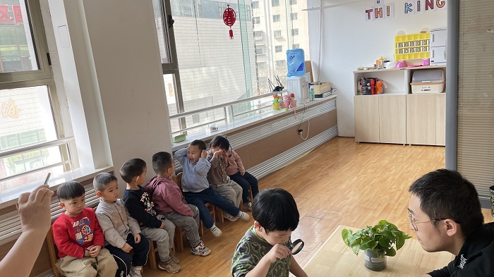 植树节认识我们身边的植物